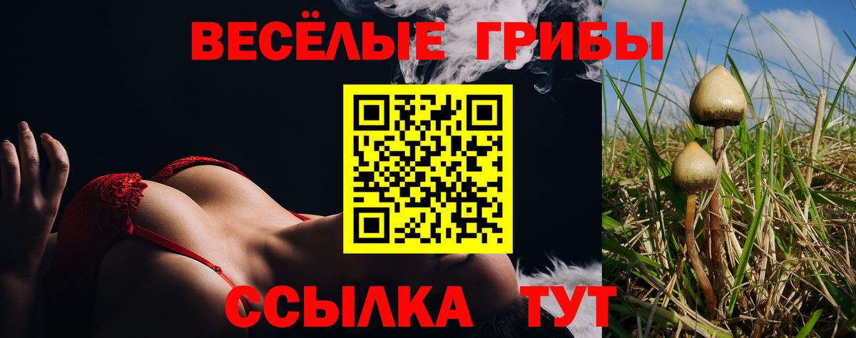 Псилоцибиновые грибы Psilocybine cubensis  Псилоцибиновые грибы MAGIC MUSHROOMS  Верхний Уфалей  Вход с VPN 